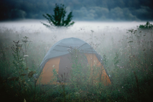 Возможность побыть на природе без связи, искупаться голышом, поспать в палатке, послушать прикольные лекции.